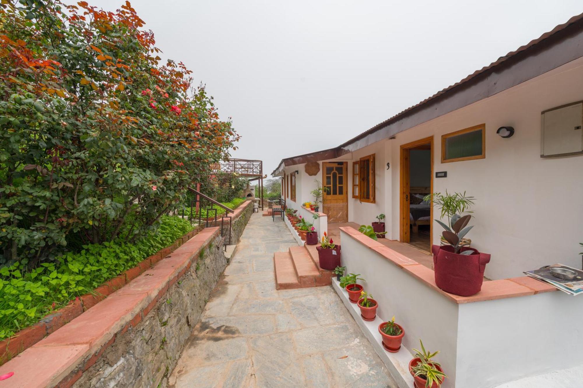 Cedar Hill Lodge - A Boutique Homestay Mashobra Zewnętrze zdjęcie